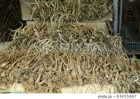 Close-up of Agricultural and Marine Products 259 63455897