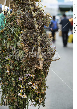 Close-up of Agricultural and Marine Products 288 Close-up of Agricultural and Marine Products 288 63455903