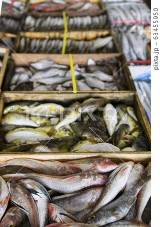 Close-up of Agricultural and Marine Products 181 Close-up of Agricultural and Marine Products 181 63455950