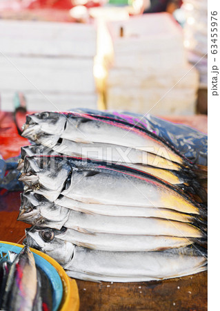 Close-up of Agricultural and Marine Products 135 Close-up of Agricultural and Marine Products 135 63455976