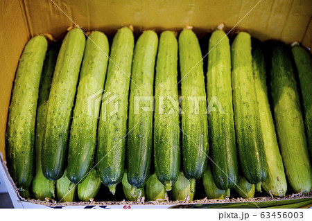 Close-up of Agricultural and Marine Products 066 63456003