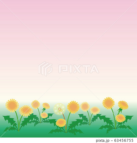たんぽぽ 春 花 風景 背景 コピースペースのイラスト素材