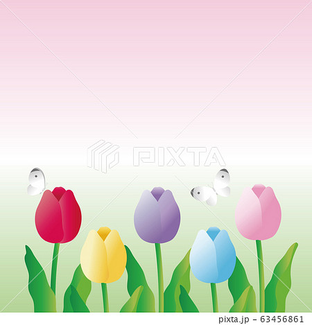 チューリップ 春 花 風景 背景 コピースペースのイラスト素材