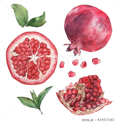Beautiful watercolor set with fruits pomegranate. Isolated on white. Hand drawing Beautiful watercolor set with fruits pomegranate. Isolated on white. Hand drawing 63457193