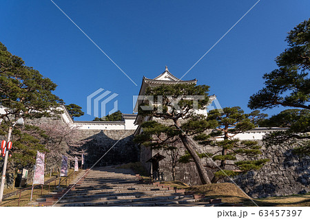 福島県 二本松城 箕輪門と桜 福島県 二本松城 箕輪門と桜 63457397