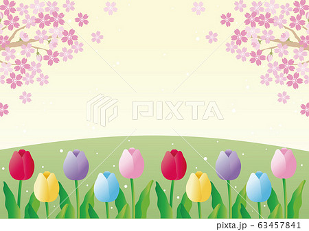 さくら チューリップ 春 花 風景 背景 コピースペースのイラスト素材