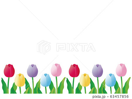 チューリップ 春 花 風景 背景 コピースペースのイラスト素材