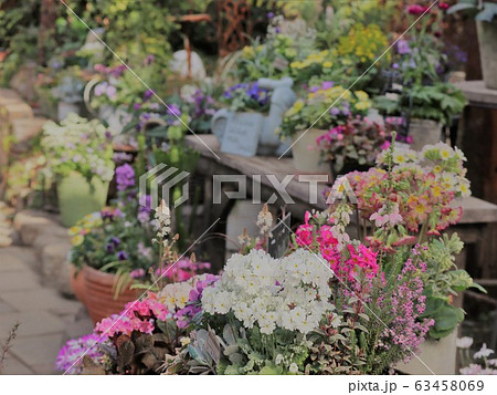 花屋さん 花屋さん 63458069