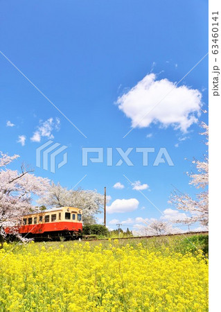 千葉県 春の小湊鉄道 千葉県 春の小湊鉄道 63460141