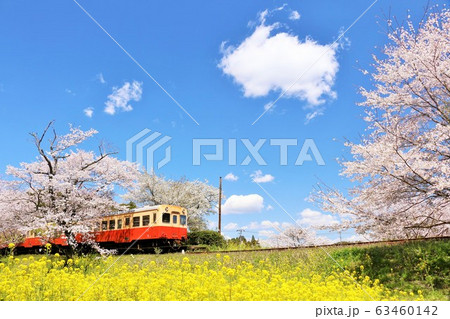 千葉県 春の小湊鉄道 千葉県 春の小湊鉄道 63460142
