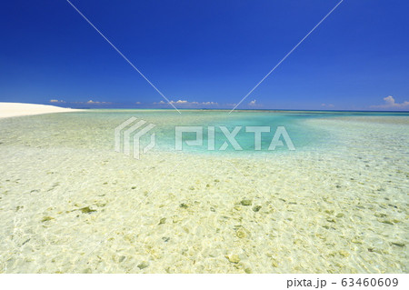 久米島・ハテの浜 63460609