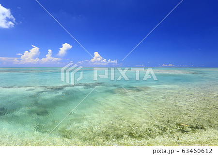 久米島・ハテの浜 久米島・ハテの浜 63460612
