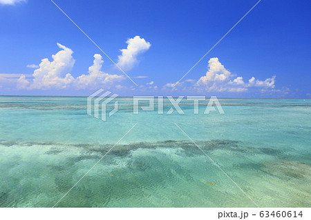 久米島・ハテの浜 63460614