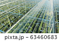 Green plantations shot through the transparent ceiling. Greenhouses aerial view, epic view on 63460683