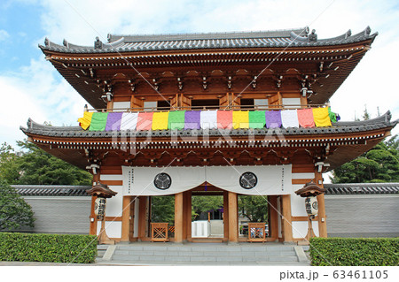 伝通院　茗荷谷 63461105