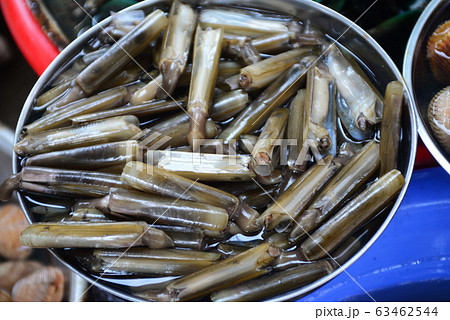 Razor clam Sell in fresh seafood market 63462544