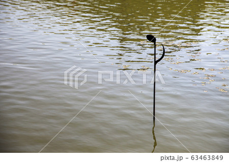 写真 造園 風景 63463849