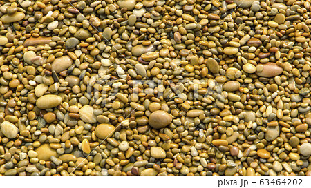 写真 砂利 パターン 63464202