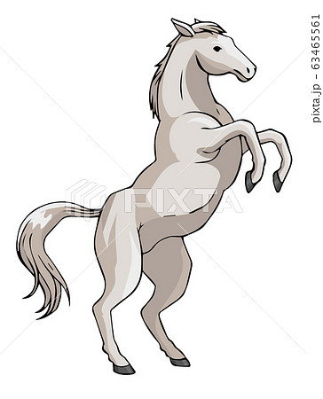 白馬 跳ね馬 カッコイイ午のイラストのイラスト素材 63465561 Pixta
