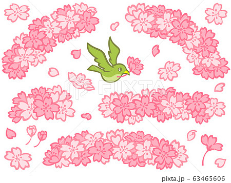 桜と鶯のイラストセット 63465606