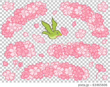 桜と鶯のイラストセット 63465606