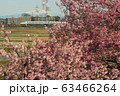 東海道新幹線と御岳山・河津桜 63466264