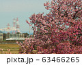 東海道新幹線と御岳山・河津桜 63466265