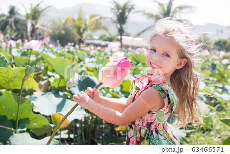 This beautiful waterlily or lotus flower. The girl 63466571