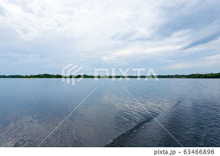 Panorama from Amazon rainforest, Brazilian wetland Panorama from Amazon rainforest, Brazilian wetland 63466896