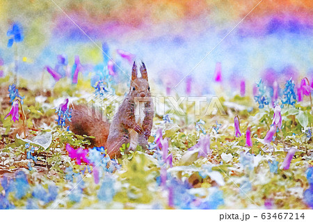 エゾリス 北海道樺戸郡浦臼町 浦臼神社 カタクリ エゾエンゴサク 水彩画のイラスト素材