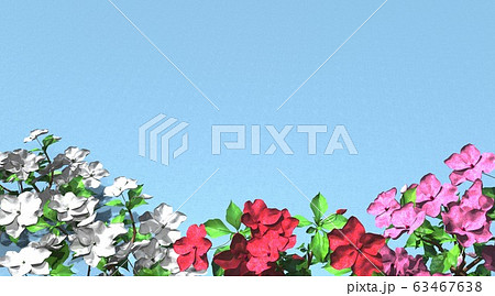 インパチェンス インパチェンス 63467638