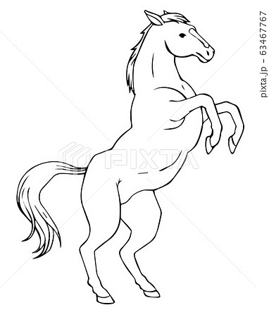 Bouncing Horse Line Drawing Illustration Noon Stock Illustration
