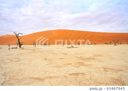 デッドフレイ 63467943