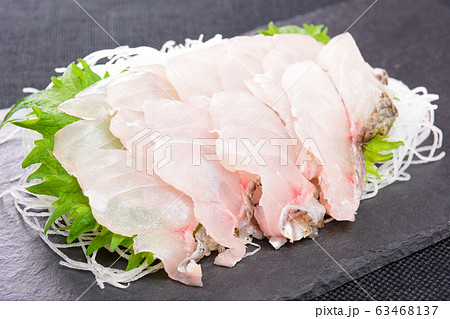 おいしいイシモチの刺身（炙り） 63468137