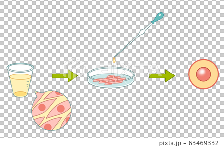 細胞の培養のイラスト素材