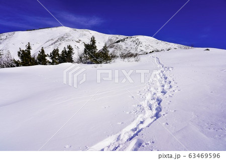 前巻機山へのトレース 63469596