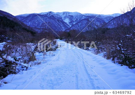 巻機山への登山道 63469792