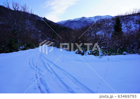 巻機山への登山道 63469793