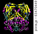 3D structure of coronavirus SARS-CoV-2 main 63470449