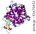 3D structure of the human ACE2 enzyme, the 63470452