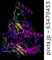 3D structure of the human ACE2 enzyme, the 63470453
