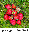 Ripe strawberries lying in green grass 63470624