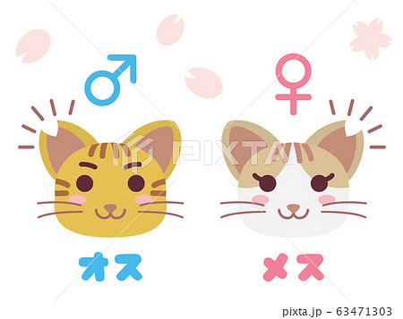 耳カットした地域猫のペアのイラスト 63471303