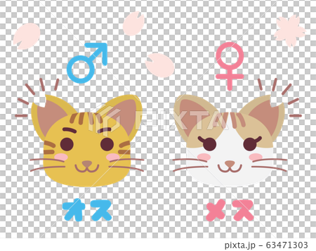 耳カットした地域猫のペアのイラスト 63471303