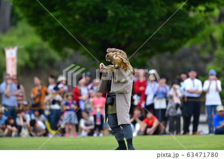 鷹匠の演技 63471780