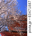 sakura and pagoda temple, Japan 63471887