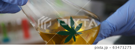 Person in gloves in clinic 63473275