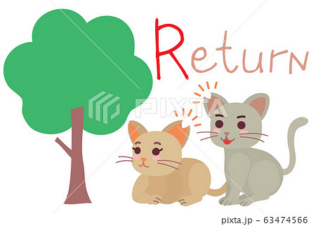 地域猫TNRの説明イラスト　Return 63474566