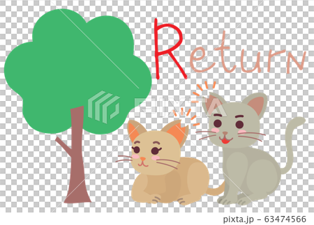 地域猫TNRの説明イラスト　Return 63474566