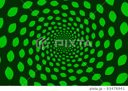 beech leaf on green background 63476941